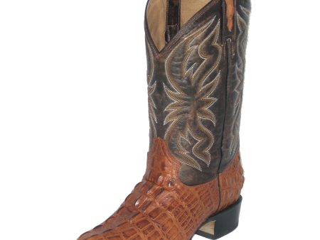 Cowtown Alligator Print Boot (Cognac) Discount