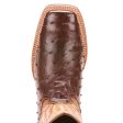 Ariat Relentless Platinum Full Quill Ostrich Boots (Chocolate) Supply