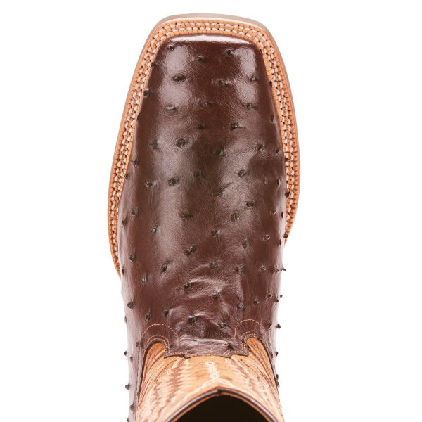 Ariat Relentless Platinum Full Quill Ostrich Boots (Chocolate) Supply