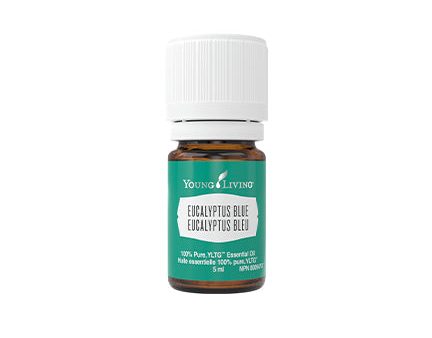 Young Living Eucalyptus Blue Essential Oil 5ml For Discount