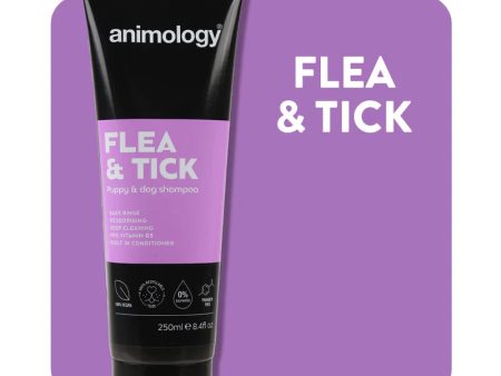 Animology Flea & Tick Dog Shampoo 250ml Cheap