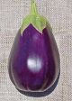 Richters Herbs Black Beauty Eggplant Natural Seeds Packet on Sale