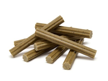 Tribal Dental Sticks Online