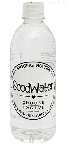 GoodWater Spring Water 500ml on Sale