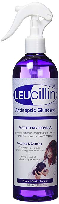 Leucillin Antiseptic Spray Hot on Sale