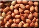 Peanuts, Raw Valencia, Organic, 30 lbs. by Natural Value Hot on Sale