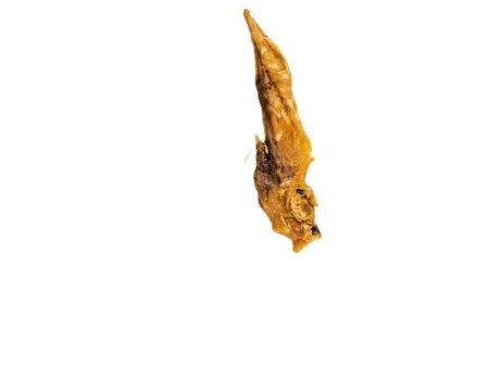 Dried Chicken Wings Online now