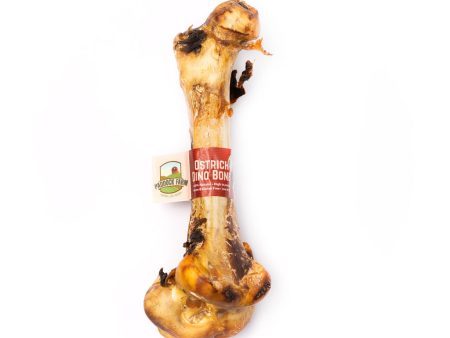 Ostrich Dino Bone Cheap