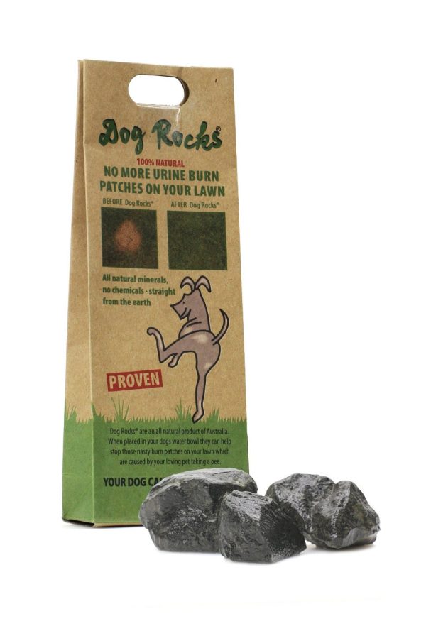 Dog Rocks (Igneous Rock) Online Hot Sale