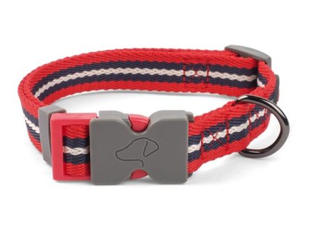 Zoon Windsor Dog Collar Fashion