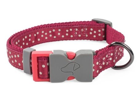 Zoon Polka Dog Collar For Sale