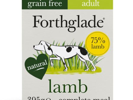 Forthglade Complete Adult Grain Free Lamb with Butternut Squash & Veg 395g Online Sale