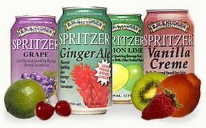 Strawberry Spritzer, 24 x 12 ozs. by Knudsen Online