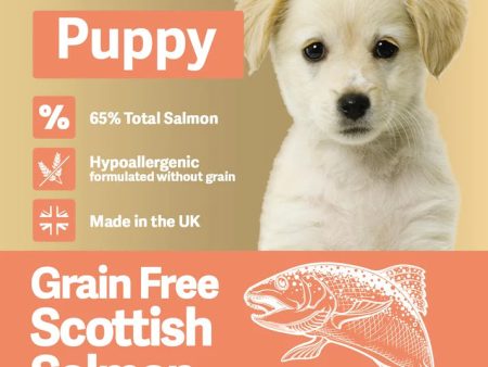 Molly s Pantry 65% Puppy Salmon Kibble Cheap