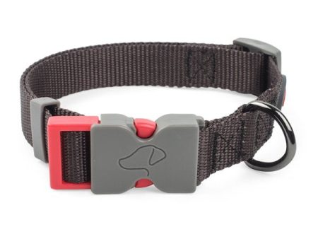 Zoon Jet Dog Collar Online Hot Sale