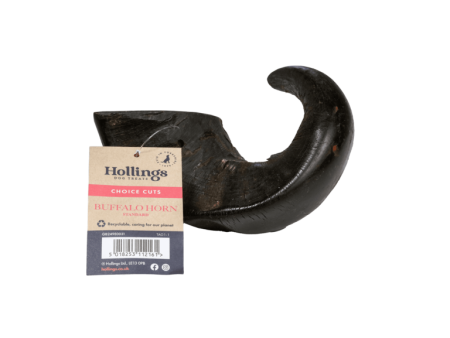 Standard Buffalo Horn Hot on Sale