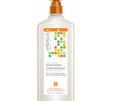 Andalou Argan Oil & Shea Conditioner 946ml For Discount